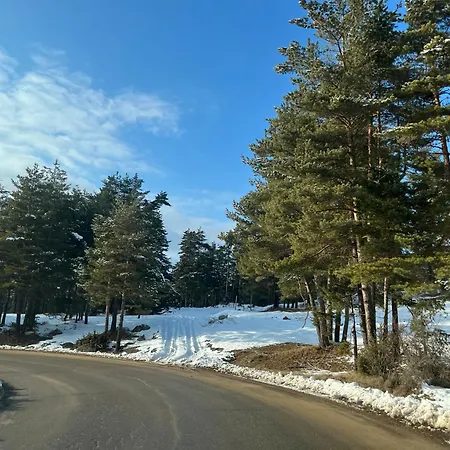 Tairovi